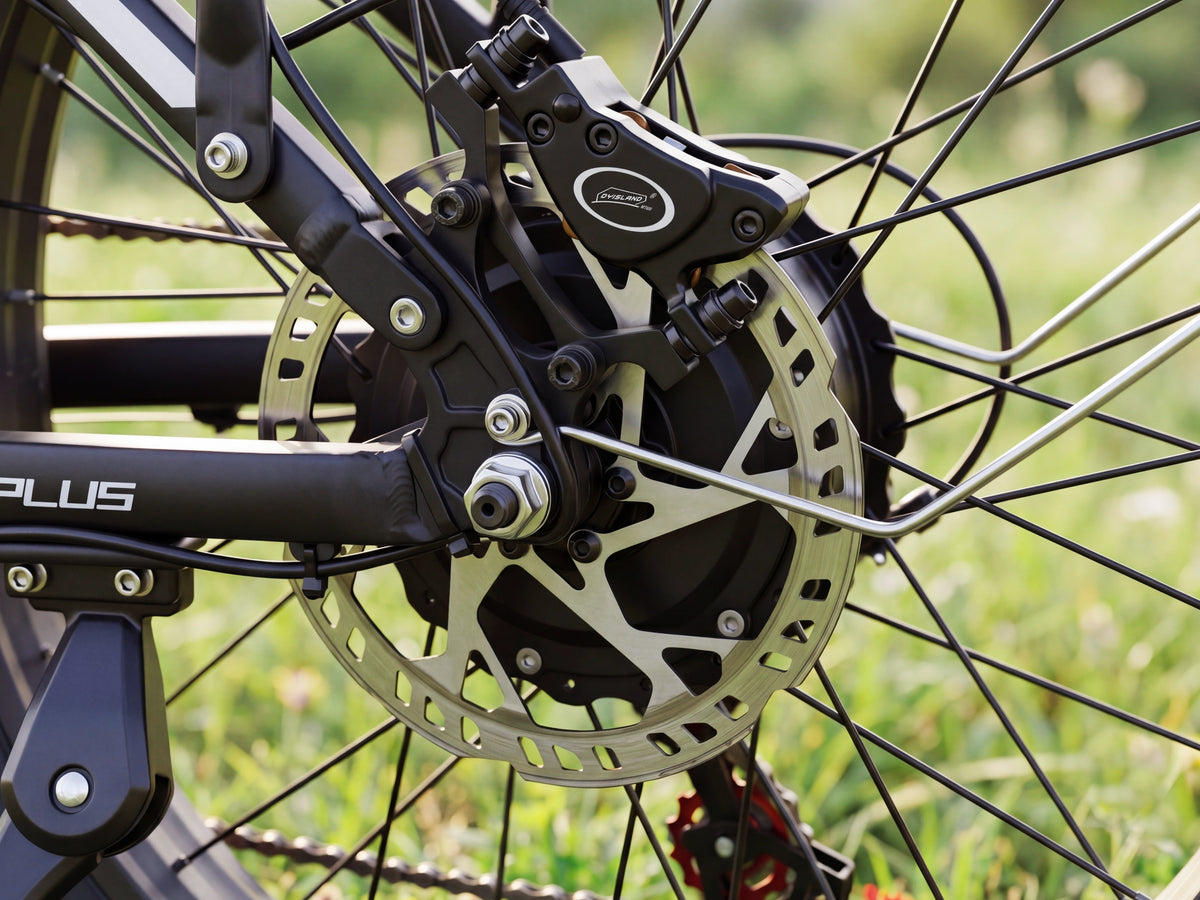 Bicicleta eléctrica todoterreno para adultos FENGQS Q8 Plus de 24"