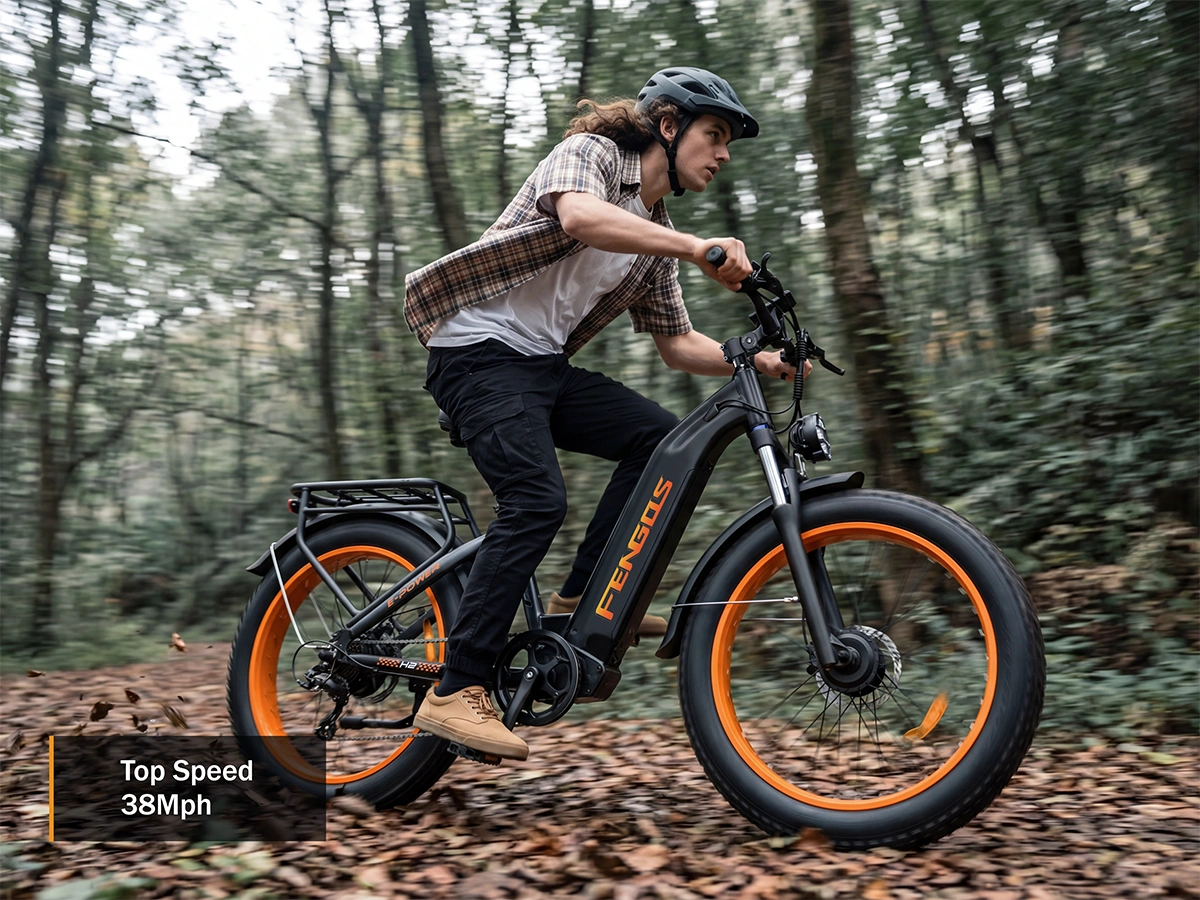 Bicicleta eléctrica todoterreno de doble motor FENGQS H2 PRO