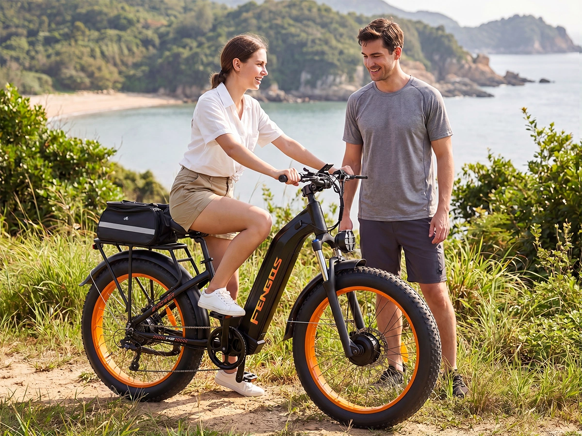 Bicicleta eléctrica todoterreno de doble motor FENGQS H2 PRO