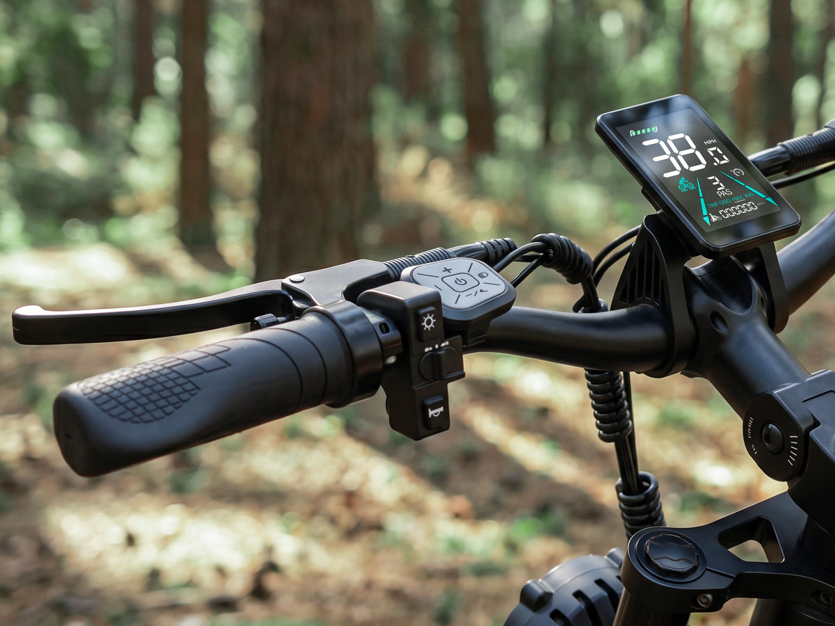 Bicicleta eléctrica todoterreno para adultos FENGQS H6 PRO