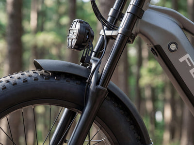 Bicicleta eléctrica todoterreno para adultos FENGQS H6 PRO