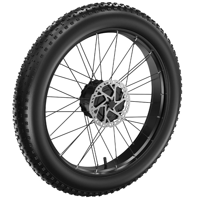 FENGQS H2 PRO Electric Bicycle Motor with Tire