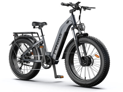 Bicicleta eléctrica todoterreno de doble motor FENGQS H2 PRO