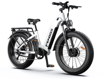 Bicicleta eléctrica todoterreno de doble motor FENGQS H2 PRO