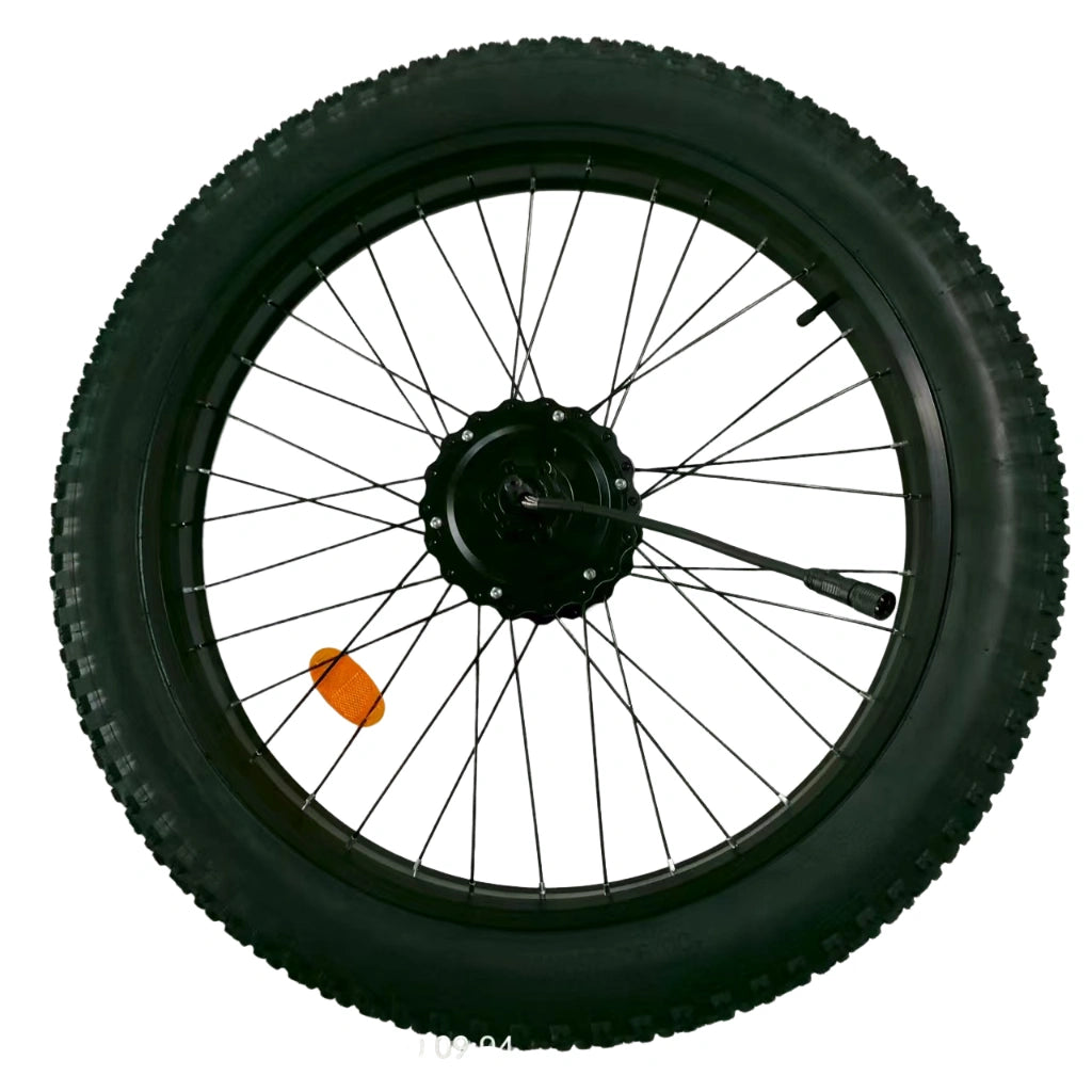FENGQS H2 PRO Electric Bicycle Motor with Tire