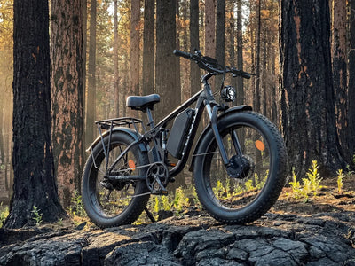 Bicicleta eléctrica todoterreno para adultos FENGQS Q8 Plus de 24"