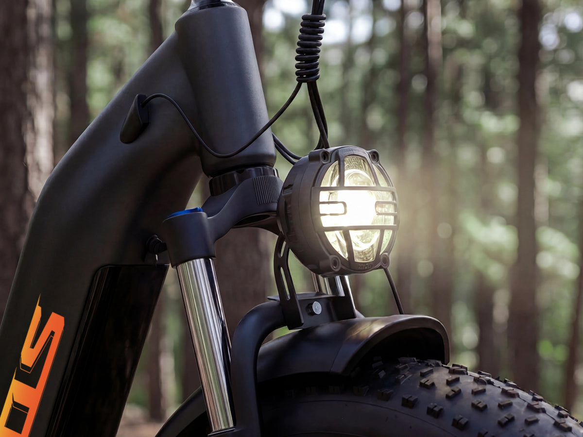 Bicicleta eléctrica todoterreno de doble motor FENGQS H2 PRO