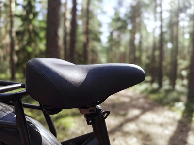 Bicicleta eléctrica todoterreno de doble motor FENGQS H2 PRO
