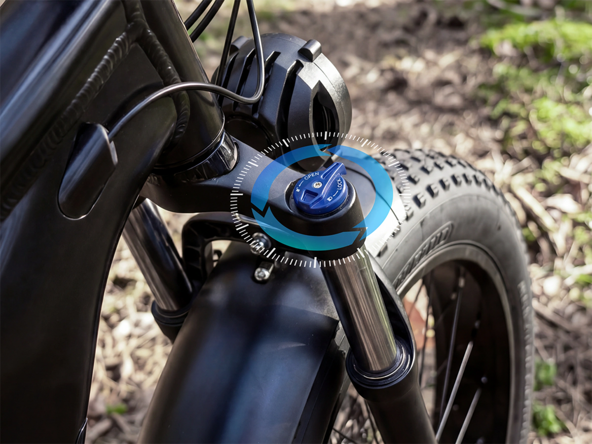 Bicicleta eléctrica todoterreno de doble motor FENGQS H2 PRO